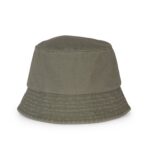 Kaki biologique lavé