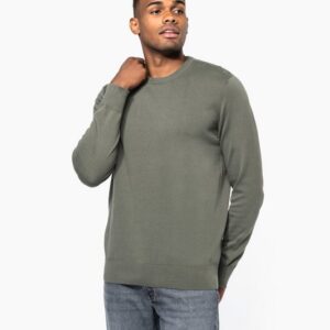 Pull écoresponsable col rond homme