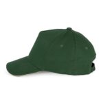 Vert forêt / Beige