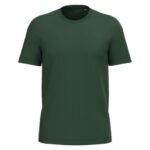 Vert forêt