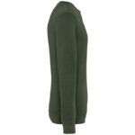 Kaki biologique lavé