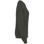 Kaki biologique lavé