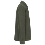 Kaki biologique lavé