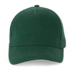 Vert forêt