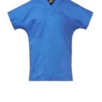 Bleu roi