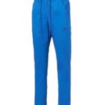 Bleu roi
