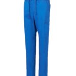 Bleu roi