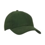 Vert forêt