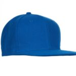 Bleu roi