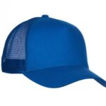 Bleu roi