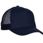 Bleu marine