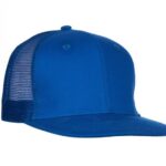 BLEU ROI / BLEU ROI