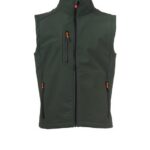 Vert forêt