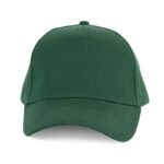 Vert cèdre