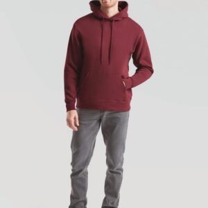 Sweat-shirt capuche Premium