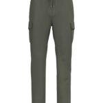 Kaki biologique lavé