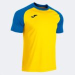 Jaune / Bleu roi