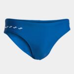 Bleu roi