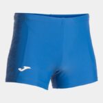 Bleu roi