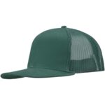 Vert forêt