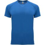 Bleu royal