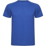 Bleu royal