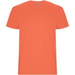 Corail