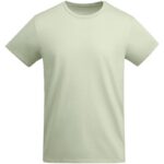 Vert brume