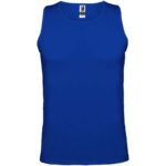 Bleu royal