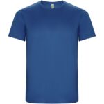 Bleu royal