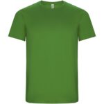 Vert fougère