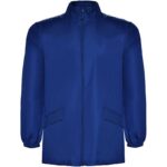 Bleu royal