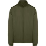 Vert militaire