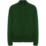 Vert bouteille