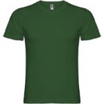 Vert bouteille