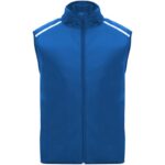 Bleu royal