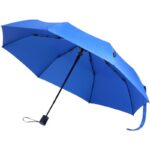 Bleu royal