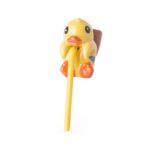 Canard