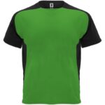 Vert fougère / Blanc