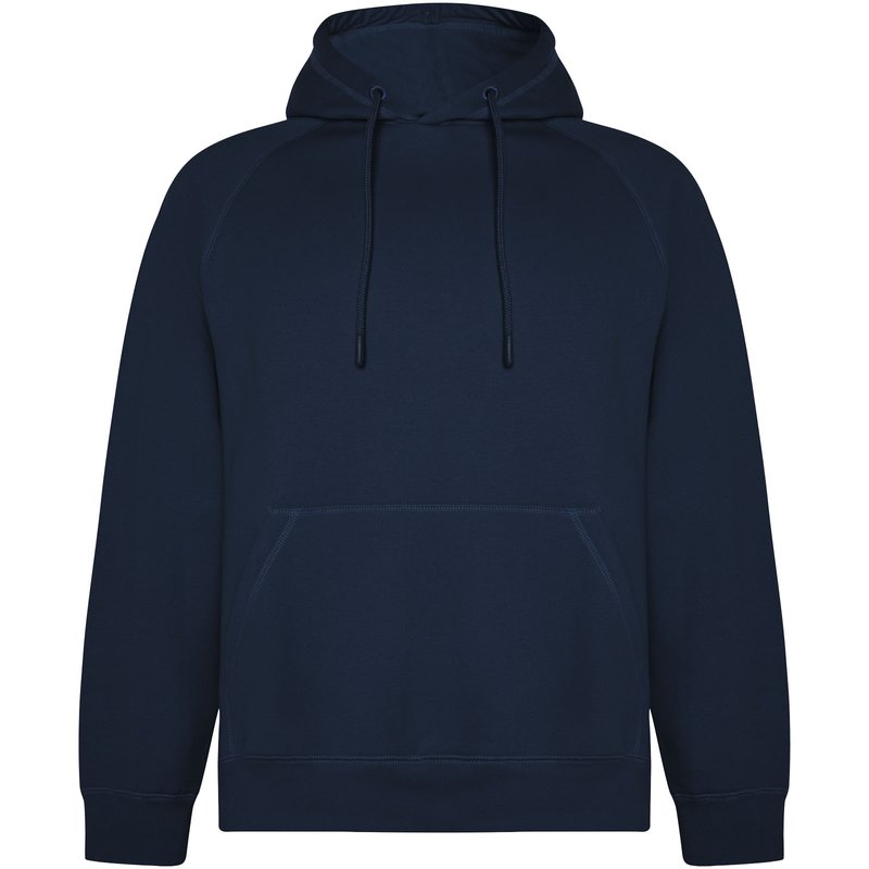 Sweat à capuche de 300 g/m² Vinson en coton organique unisexe