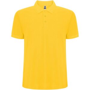 Polo de 220 g/m² Pegaso Premium à manches courtes pour homme